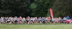 Start of under-13 girls National Cross Country Relays, Berry Hill Park, Mansfield. Photo: David T. Hewitson/Sports for All Pics